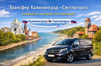 Трансфер из аэропорта Храброво в Светлогорск